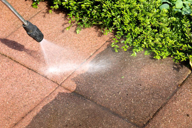Best Roof Pressure Washing  in Jeanerette, LA